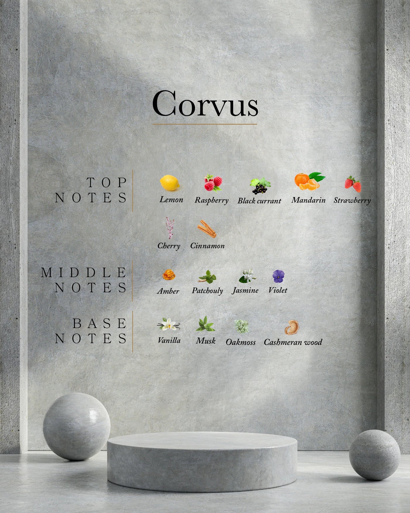 Perfume Ahli CORVUS/U/Fucsia