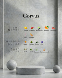Perfume Ahli CORVUS/U/Fucsia