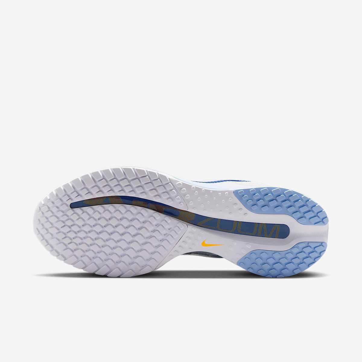 Nike Pegasus Premium