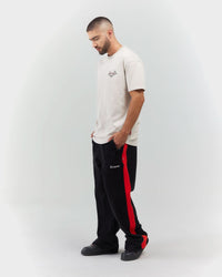 CAMISETA MEN RADIOSITÁ SILVER CLEMONT - CLEMONT.CO S.A.S.